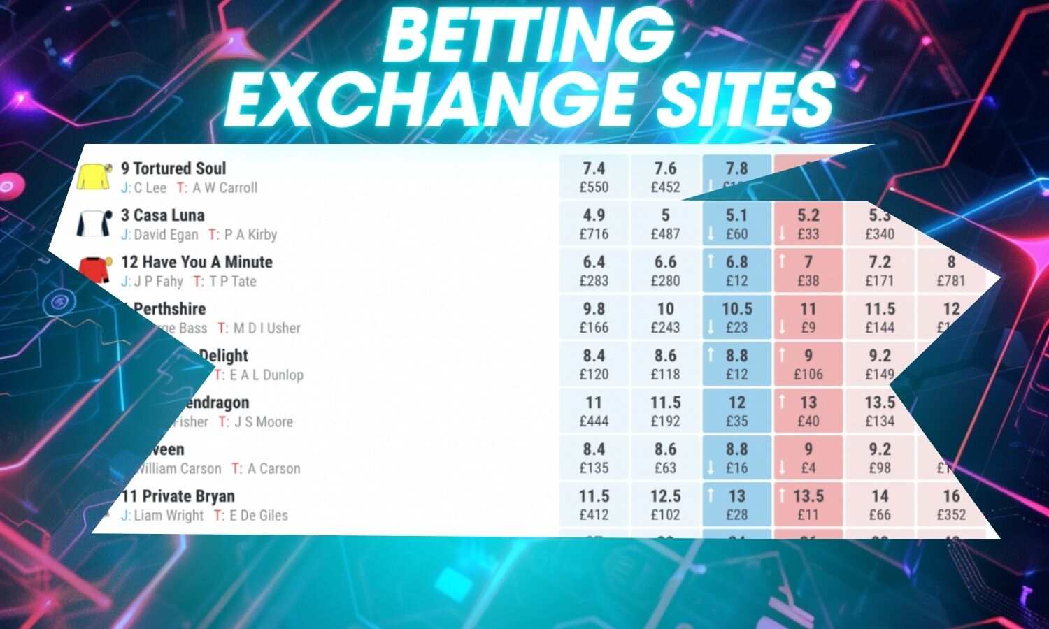 Crypto Betting Exchange Sites in India overview